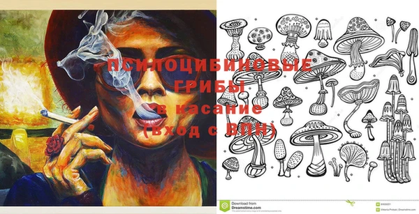 винт Наволоки