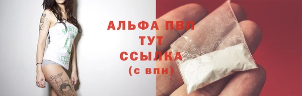дурь Надым