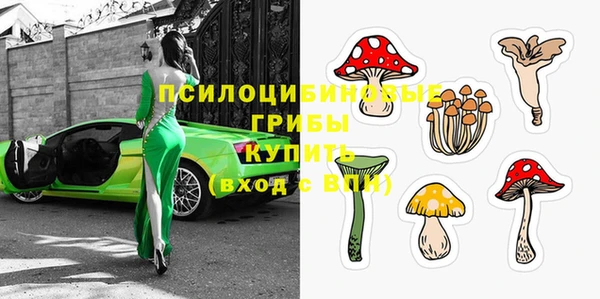 винт Наволоки