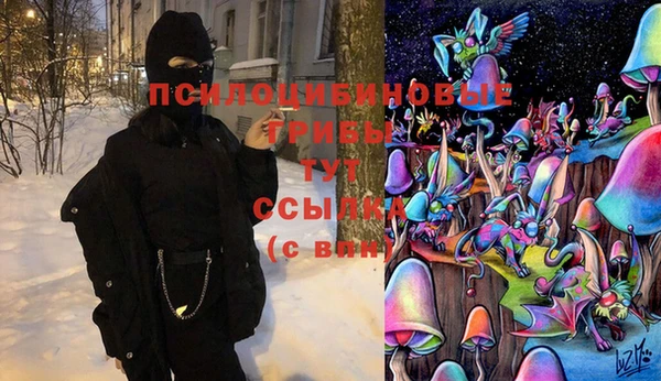 винт Наволоки