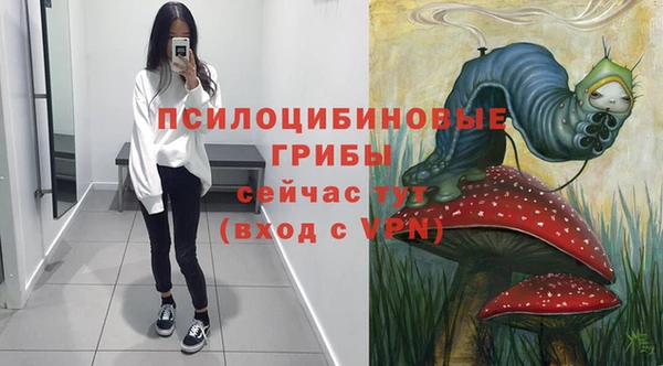 дурь Надым