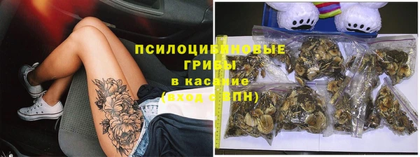 гидра Навашино